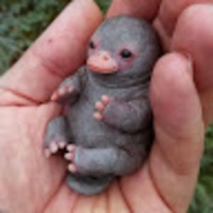 Meet your Posher, Will